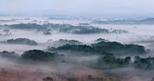 korea-wildlife-dmz-hills-fog_70035_600x450